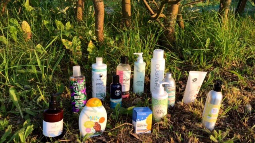 selection of natural shampoo brands