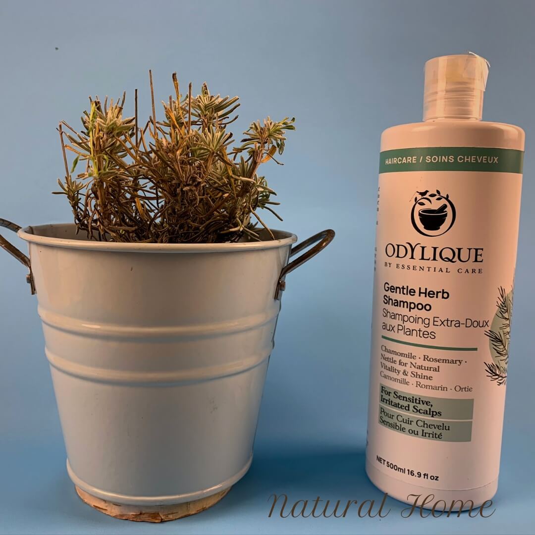 best natural shampoo brand