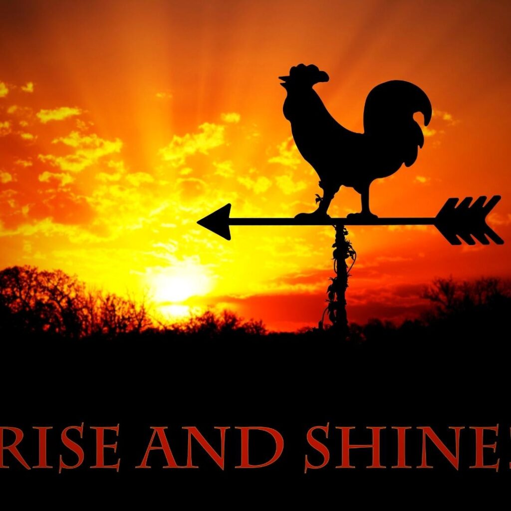 rooster weather vane above rise and shine text