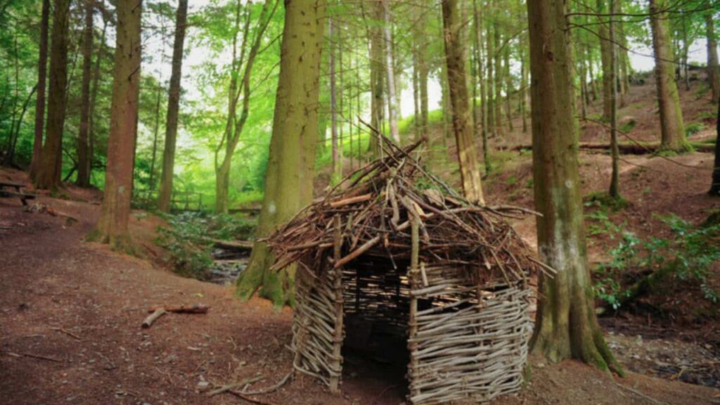 living willow wigwam