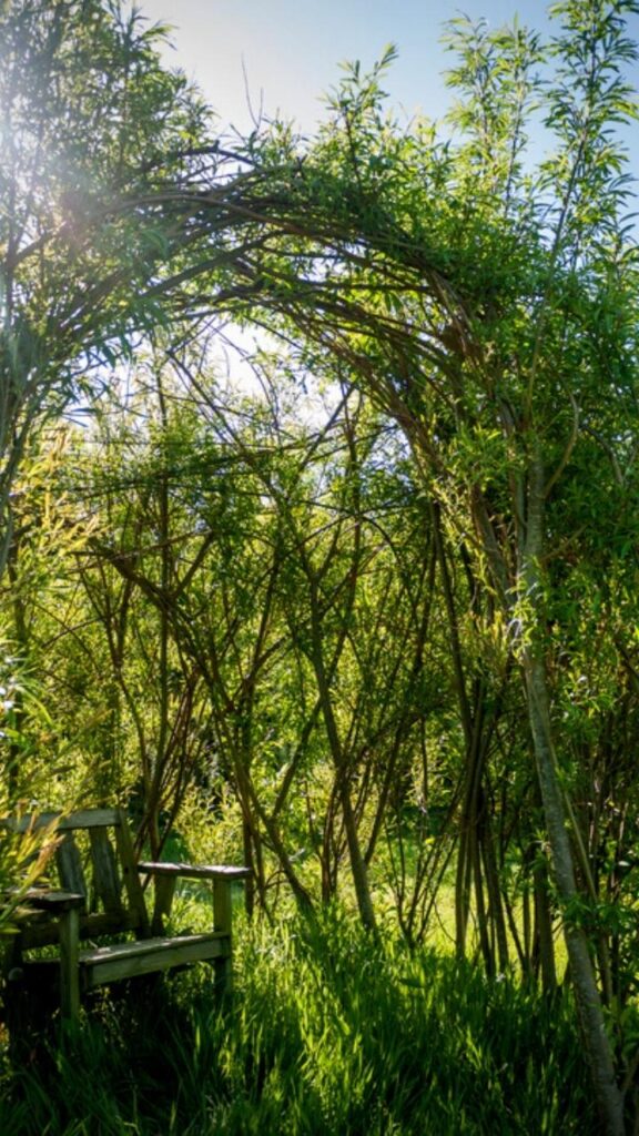 woven willow arch with seat below