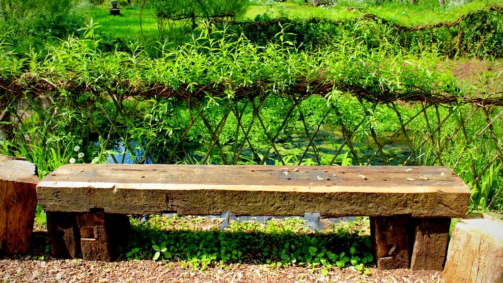 woven lattice of willow behind wooden bench