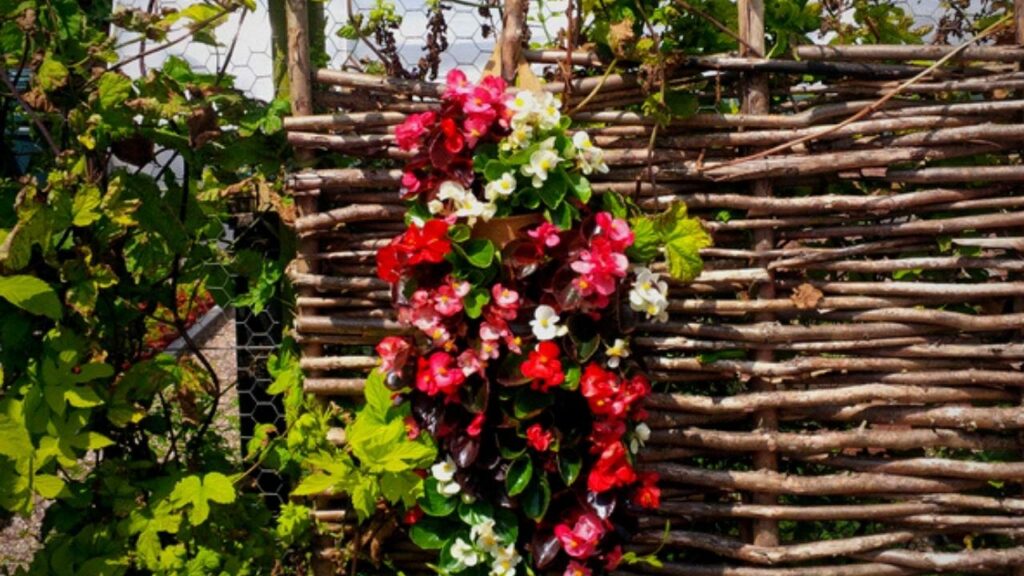 flowers growing on woven willow fence