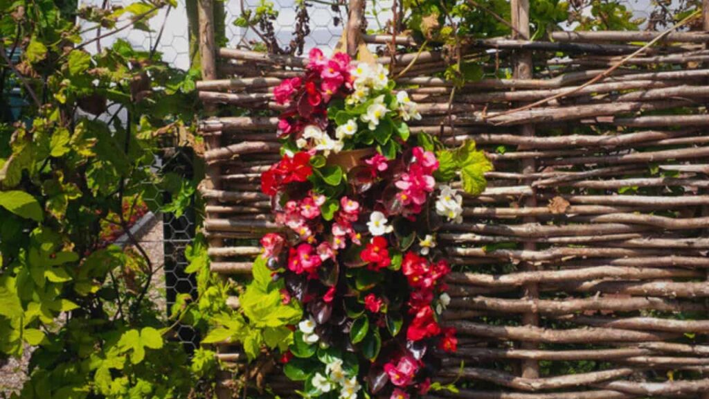 willow garden planters