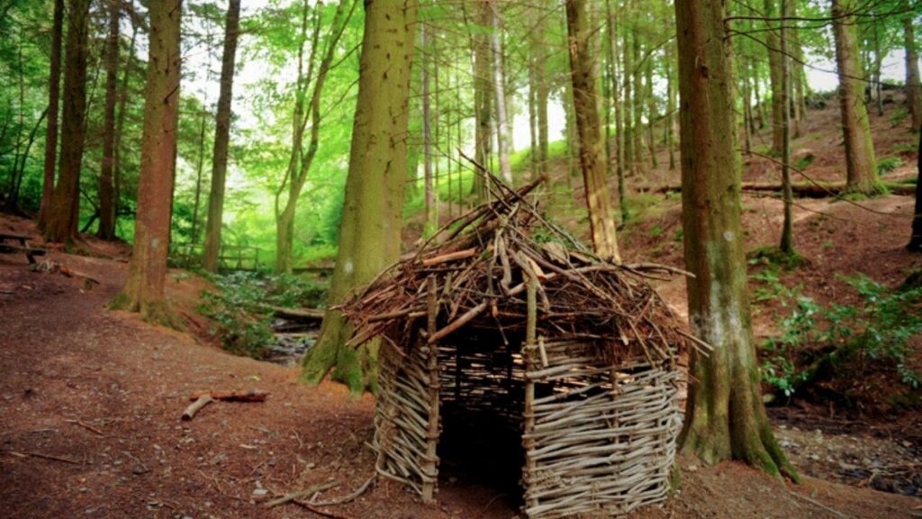 wigwam shaped willow shelter in the woods