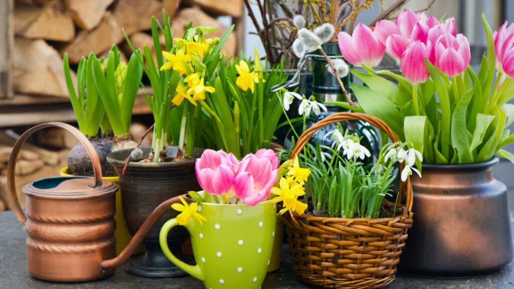 natural spring decor