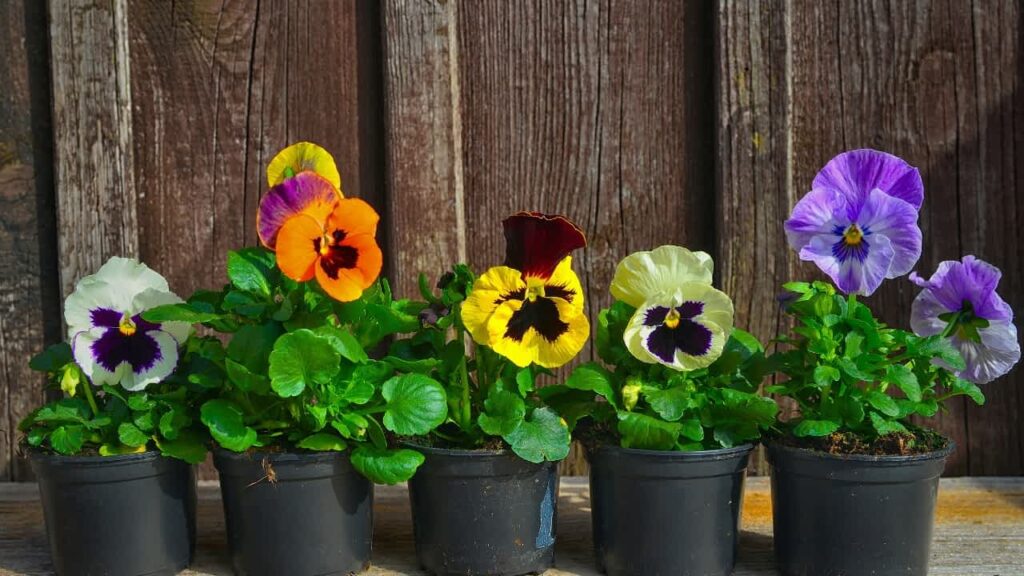 spring home decor ideas