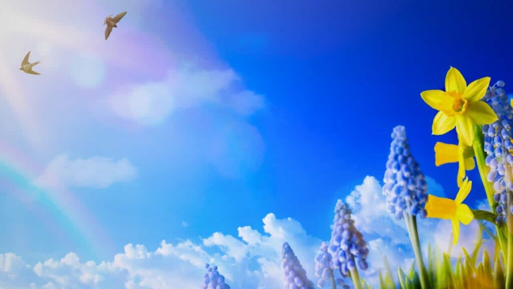 natural spring decor ideas