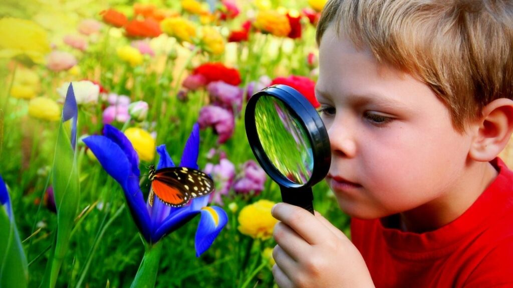 small boy looking at a butterfly through magnifying glass