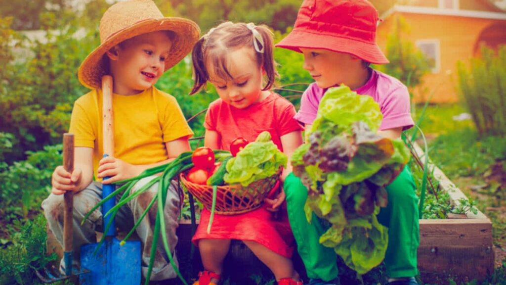 natural outdoor play spaces