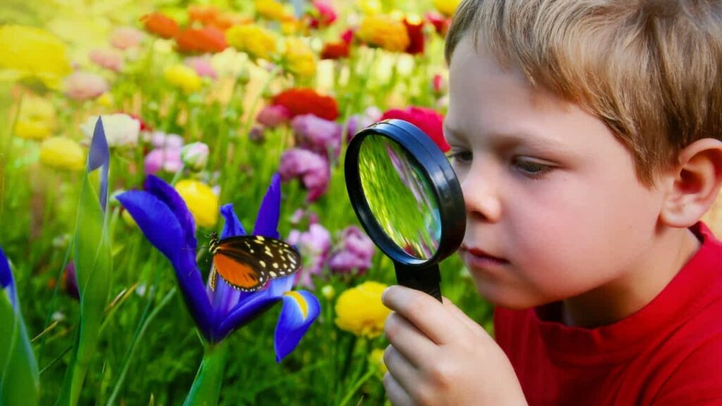 natural outdoor play areas