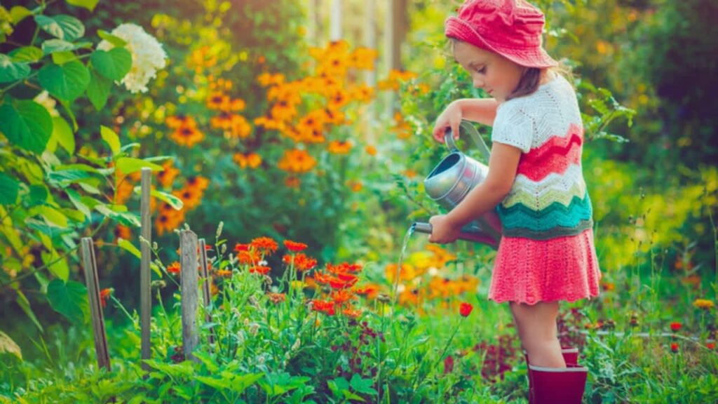 natural garden play area