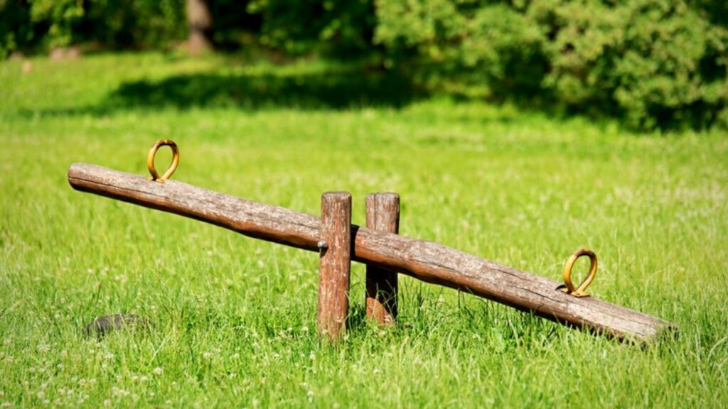 wooden seesaw on grass