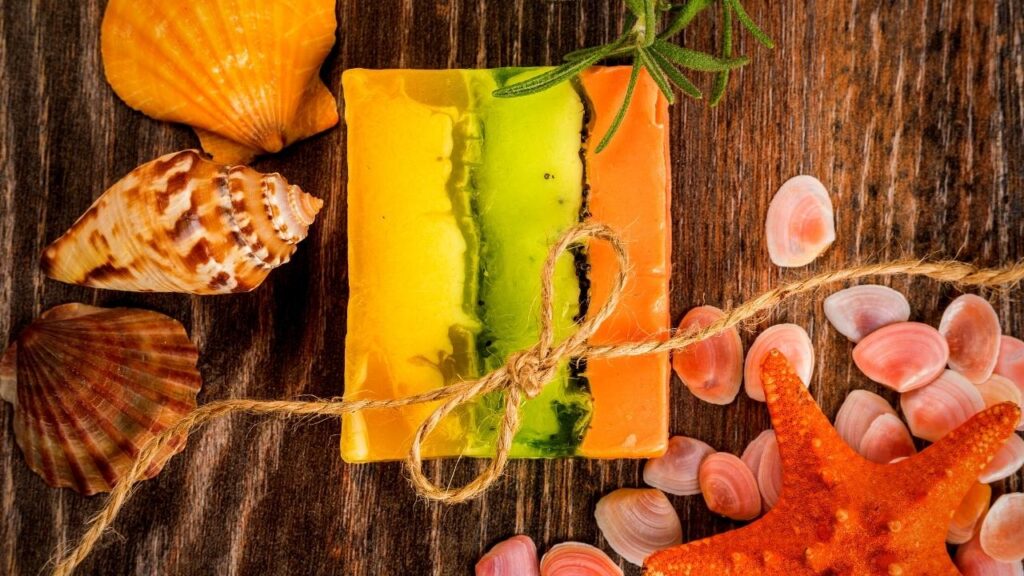 bars of seaweed soap on table with shells