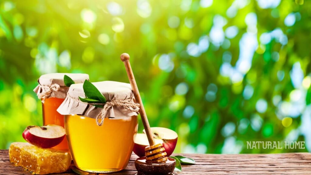 best manuka honey brand