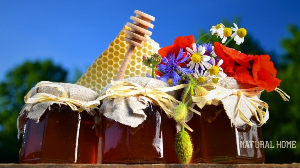 best manuka honey brand uk