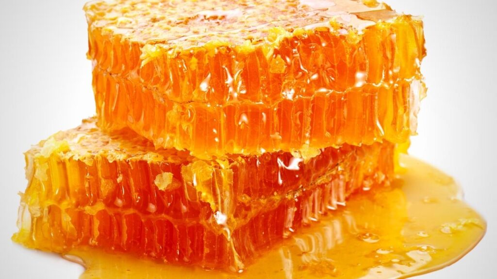 real honeycomb on white background