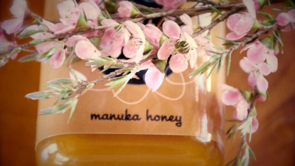 jar of manuka honey with manuka flowers