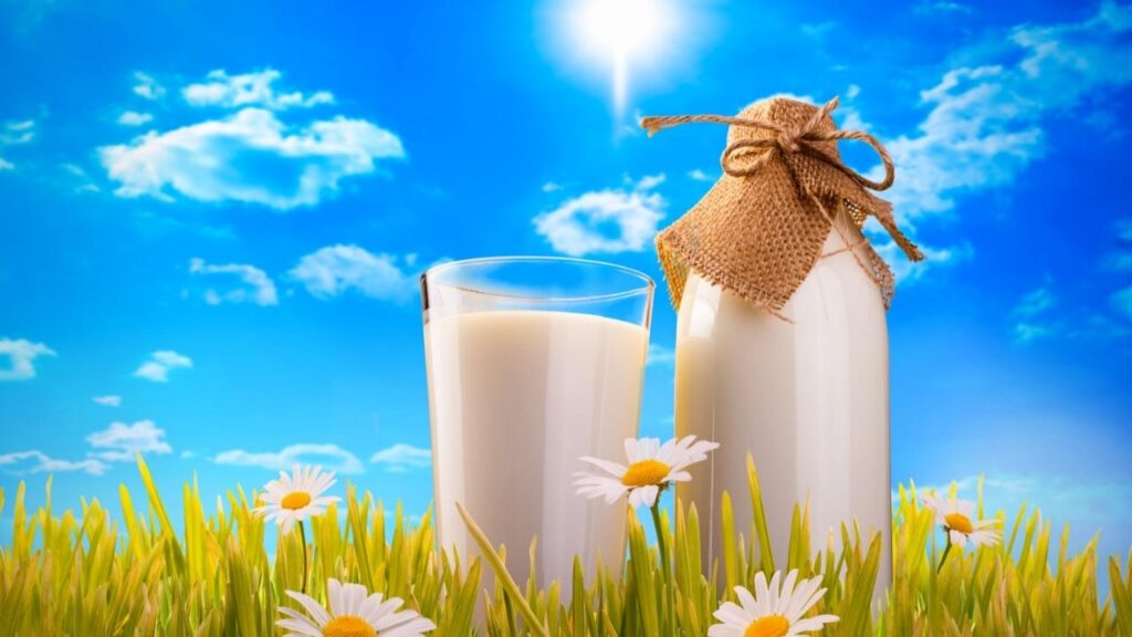 bottle and glass of milk sitting on grass