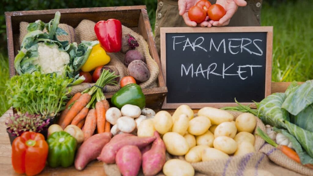 is organic food healthier