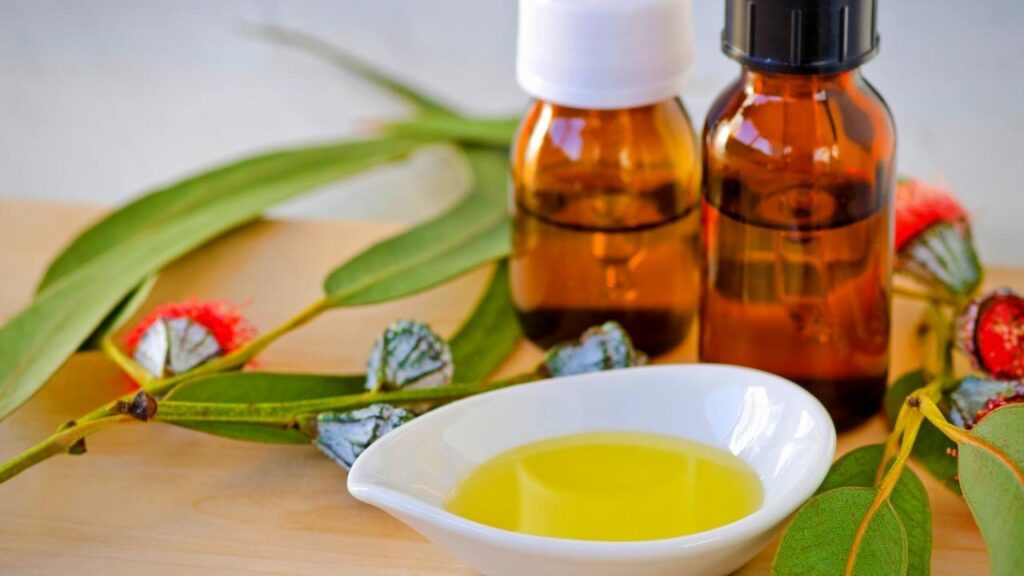 eucalyptus oils and leaves on table