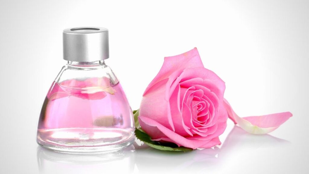 bottle of rose oil and pink rose petal flower