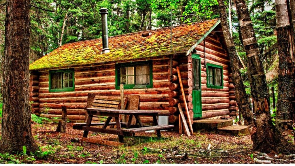 rustic log cabin in forest