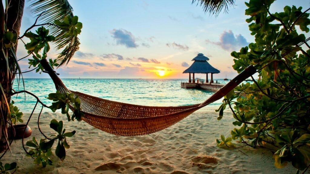 hammock between two trees at beach