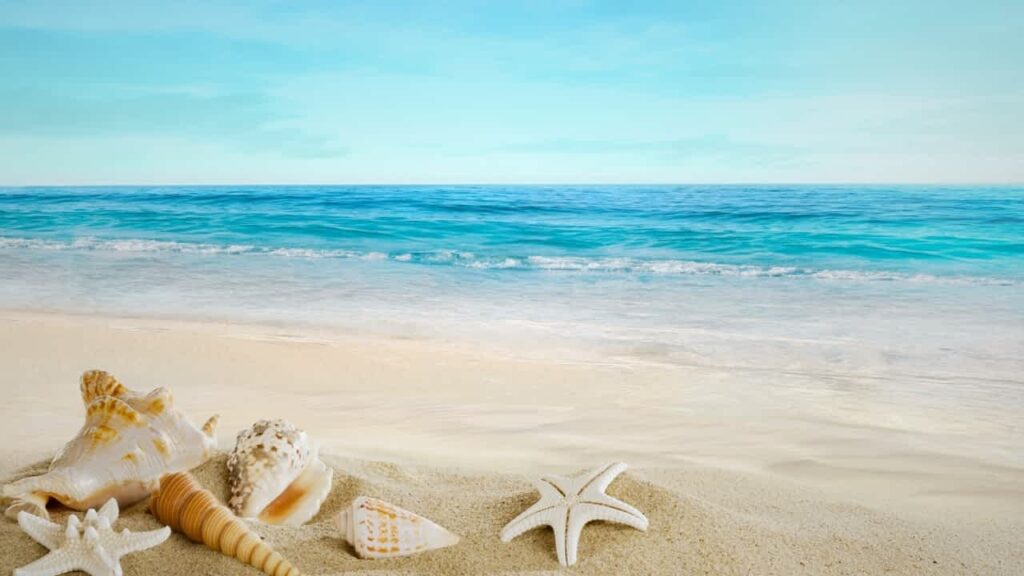 seaside themed gardens