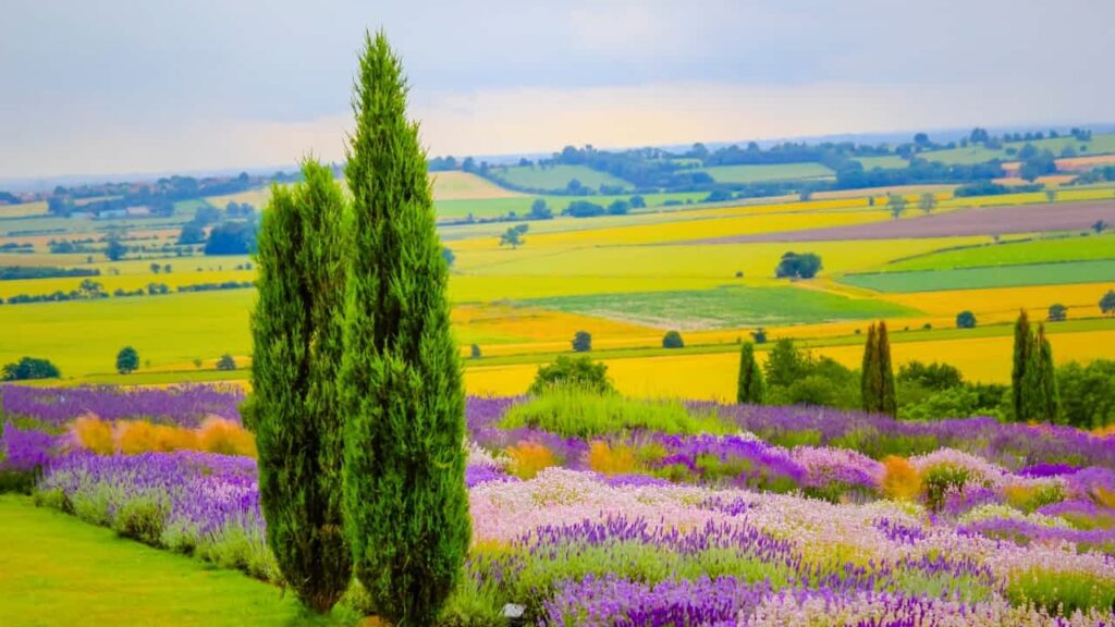 best organic beauty care uk