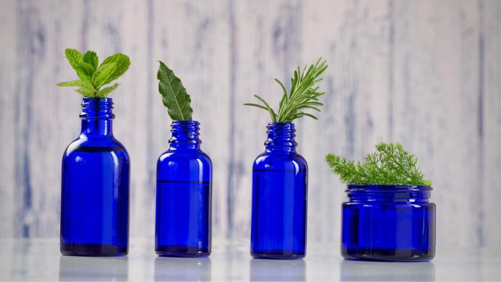 4 small blue glass bottles containing plants