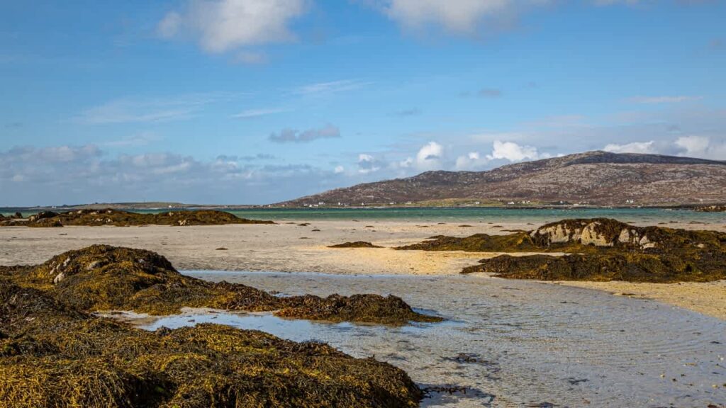 natural ingredients beauty brands