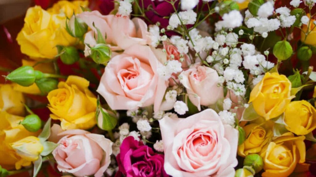 natural beauty brands uk