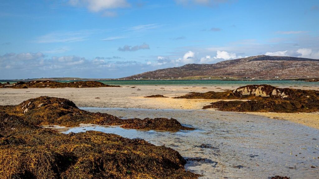 seaweed on beach on the Hebrides