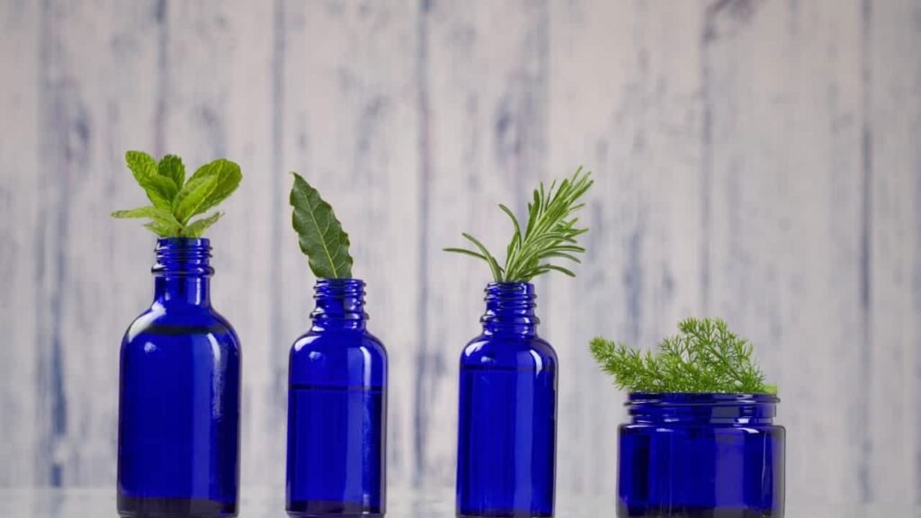 top organic skincare brands