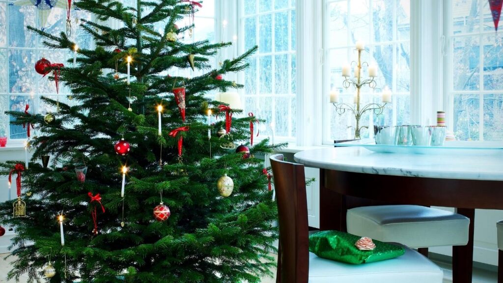 real Christmas tree beside table in home