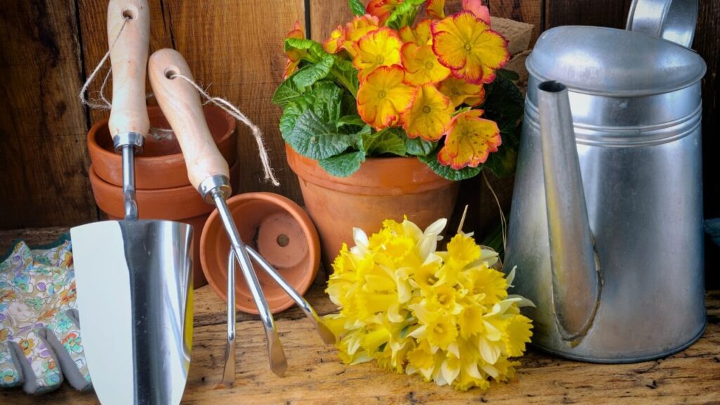 beeswax for metal tools