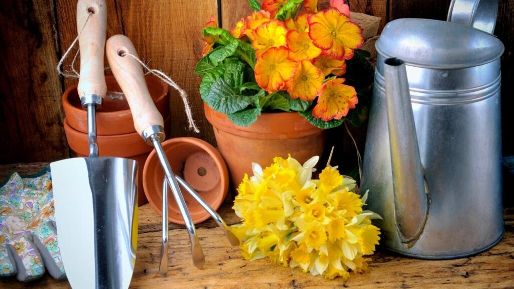 garden tools, water can and yellow flowers