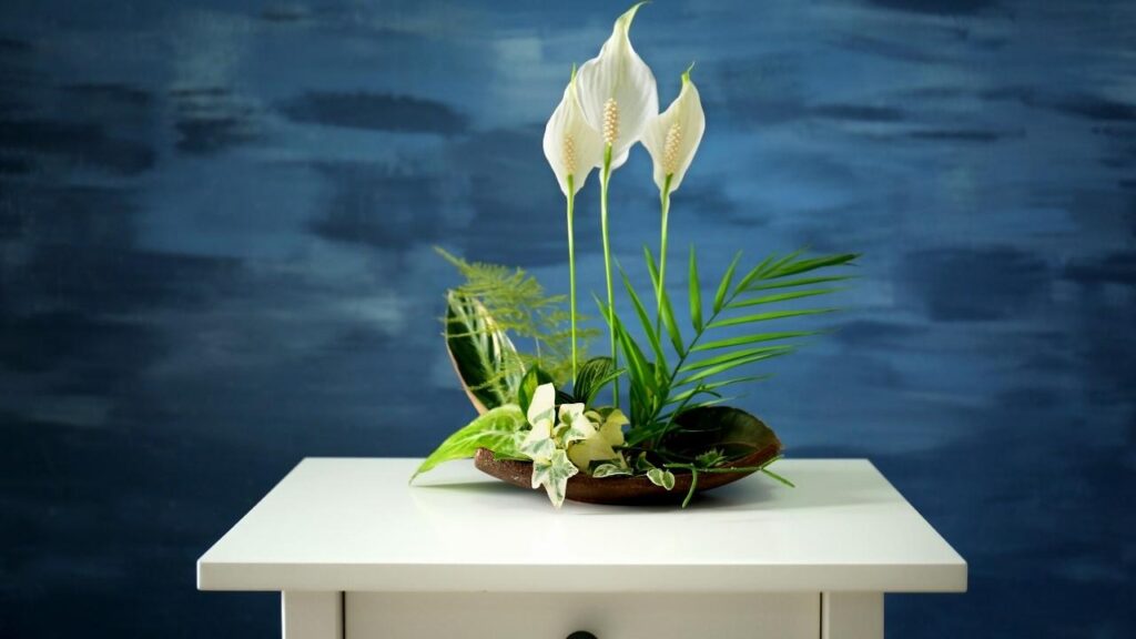 peace lilies on white table, blue background