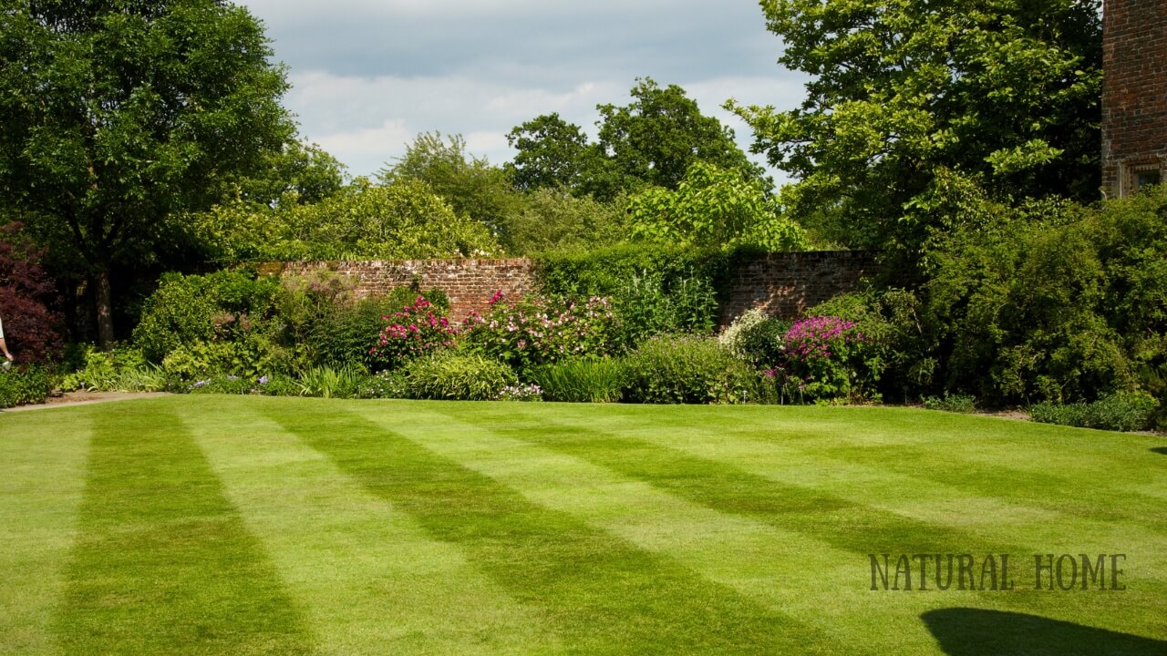 best electric cylinder lawn mower