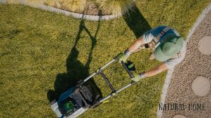 best electric lawn mower