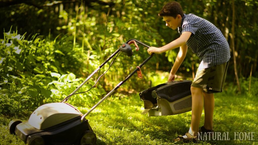 best electric lawnmower uk
