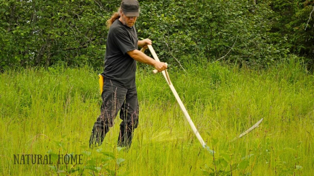 best electric lawnmowers