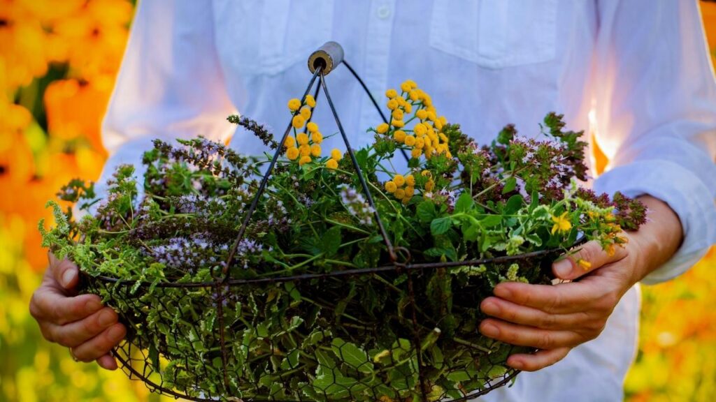 woman holding basket of herbs