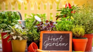 herb garden ideas