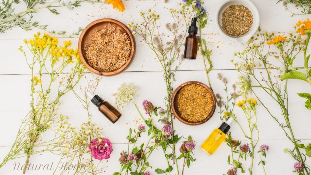 herbal garden ideas uk