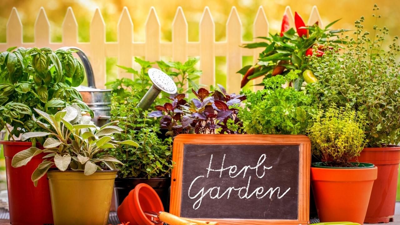 15 Design ideas for the perfect Herb Garden Natural Home