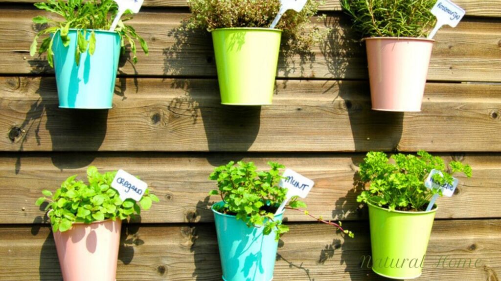 herb garden design ideas