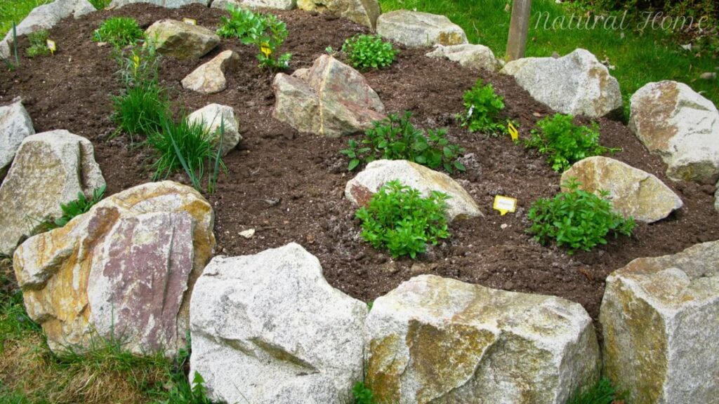 herb garden rockery ideas