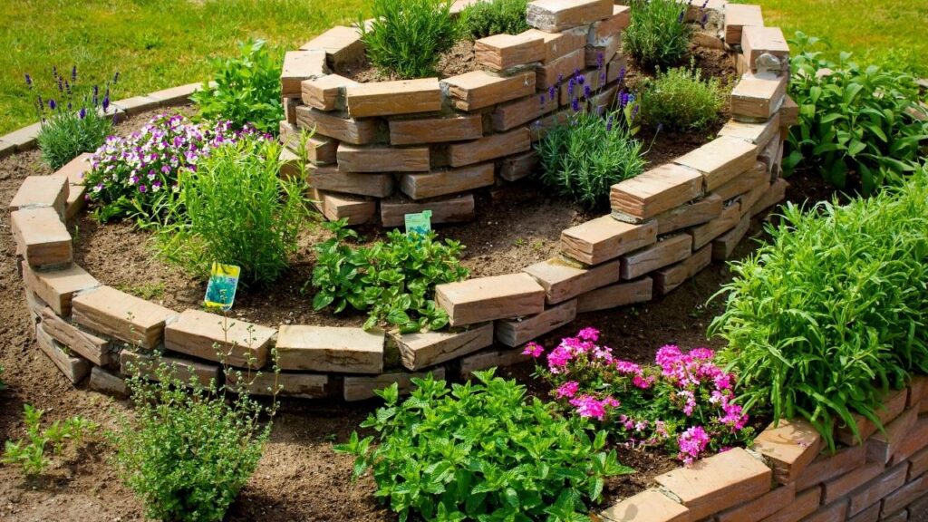 herbs growing in spiral made of bricks